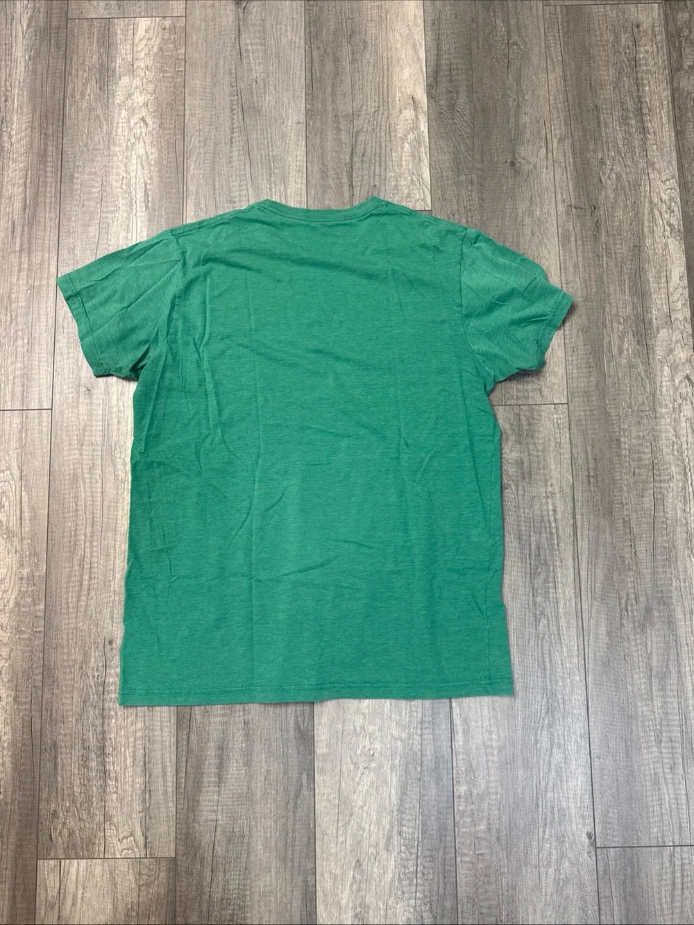 Patagonia Green Logo Short Sleeve Crew Tee